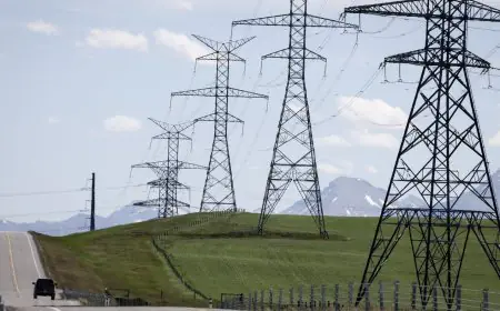 ਨਵੇਂ ਸਾਲ ਮੌਕੇ ਅਲਬਰਟਾ ਲੈ ਕੇ ਆਇਆ ਨਵਾਂ ਟੈਕਸ