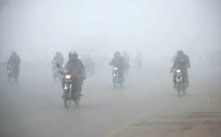 ਲਗਾਤਾਰ ਪੈ ਰਹੀ ਧੁੰਦ ਅਤੇ ਠੰਡ ਨੇ ਠਾਰਿਆ ਪੰਜਾਬ