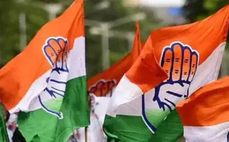 ਦਿੱਲੀ ਵਿਧਾਨ ਸਭਾ ਚੋੋਣਾਂ: ਕਾਂਗਰਸ ਨੇ ਬਣਾਈ ਚੋਣਾਂ ’ਤੇ ਨਜ਼ਰ ਰੱਖਣ ਲਈ ‘ਈਗਲ’ ਕਮੇਟੀ