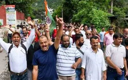 ਸੰਜੌਲੀ ਅਸ਼ਾਂਤੀ ਤੋਂ ਬਾਅਦ ਸ਼ਿਮਲਾ, ਕਾਂਗੜਾ, ਸੋਲਨ, ਕੁੱਲੂ, ਮੰਡੀ, ਬਿਲਾਸਪੁਰ ਵਿੱਚ ਵਿਰੋਧ ਪ੍ਰਦਰਸ਼ਨ 