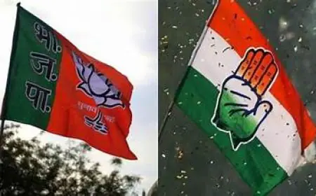 ਵਿਰੋਧੀ ਧਿਰ ਨੇ ਸੰਸਦ ਮੈਂਬਰਾਂ ਦੀਆਂ ਟਿੱਪਣੀਆਂ ’ਤੇ ਭਾਜਪਾ ’ਤੇ ਸਾਧਿਆ ਸ਼ਬਦੀ ਹਮਲਾ