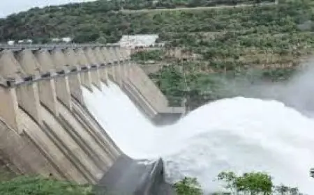 ਪੰਜਾਬ ਅਤੇ ਹਰਿਆਣਾ ਵਿਚਕਾਰ ਚੱਲ ਰਹੇ ਪਾਣੀਆਂ ਦਾ ਮਸਲਾ ਪੁੱਜਾ ਹਾਈਕੋਰਟ  