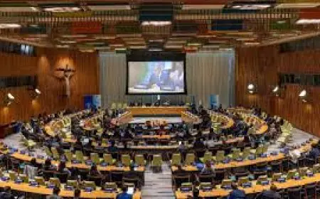 ਭਾਰਤ ਨਾਲ ਵਧੇ ਤਣਾਅ ਦੇ ਵਿਚਕਾਰ ਯੂਐਨਐਸਸੀ ਨੇ ਪਾਕਿਸਤਾਨ ਤੋਂ ਪੁੱਛੇ ਸਖ਼ਤ ਸਵਾਲ  