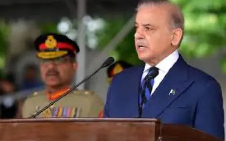 ਪਾਕਿਸਤਾਨ ਦੇ ਮੰਤਰੀ ਨੇ ਭਾਰਤ ’ਤੇ ਹਮਲੇ ਤੋਂ ਬਾਅਦ ਪ੍ਰਮਾਣੂ ਸੰਸਥਾ ਦੀ ਮੀਟਿੰਗ ਤੋਂ ਕੀਤਾ ਇਨਕਾਰ 