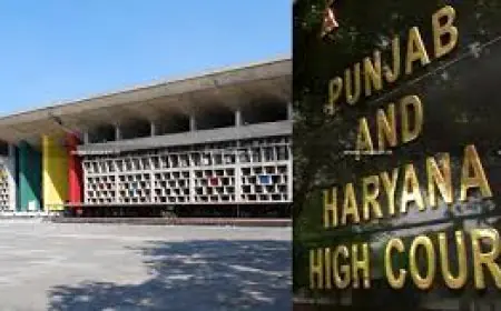 ਸੂਬਾ ਸਰਕਾਰ ਨੇ ਸਰਕਾਰੀ ਡਾਕਟਰਾਂ ਦੀਆਂ 50 ਫ਼ੀਸਦੀ ਆਸਾਮੀਆਂ ਖਾਲੀ ਹੋਣ ਕਾਰਨ ਹਾਈਕੋਰਟ ਨੂੰ ਦਿੱਤਾ ਨੋਟਿਸ