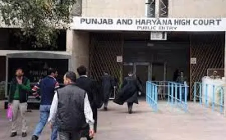 ਪੰਜਾਬ ਭਰ ਵਿੱਚ ਜੇਲ੍ਹ ਤਸਕਰੀ ਨਾਲ ਸਬੰਧਤ ਐਨਡੀਪੀਐਸ ਐਕਟ ਦੇ ਮਾਮਲਿਆਂ ਦੀ ਜਾਂਚ ਲਈ ਹਾਈ ਕੋਰਟ ਵੱਲੋਂ ਕਮੇਟੀਆਂ ਦਾ ਗਠਨ