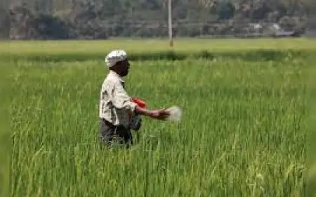 ਕੇਂਦਰੀ ਕੈਬਨਿਟ ਵੱਲੋਂ ਕਿਸਾਨਾਂ ਲਈ ਵਿਆਜ ਸਹਾਇਤਾ ਯੋਜਨਾ ਨੂੰ ਵਧਾਉਣ ਦੀ ਸੰਭਾਵਨਾ 