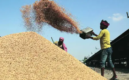 ਕੇਂਦਰ ਸਰਕਾਰ ਵੱਲੋਂ ਸਾਉਣੀ ਦੀਆਂ ਫਸਲਾਂ ਲਈ ਘੱਟੋ-ਘੱਟ ਸਮਰਥਨ ਮੁੱਲ ਦਾ ਐਲਾਨ 