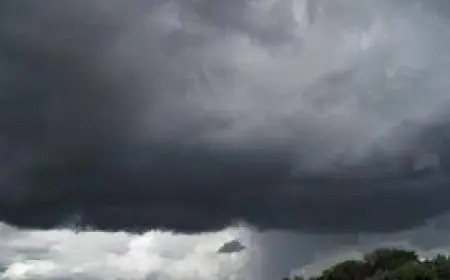 ਪੰਜਾਬ ਵਿੱਚ ਅੱਜ 16 ਜ਼ਿਲ੍ਹਿਆਂ ਵਿੱਚ ਮੀਂਹ ਤੇ ਧੂੜ ਭਰੀ ਹਨੇਰੀ ਚੱਲਣ ਦੀ ਸੰਭਾਵਨਾ 