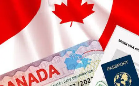 ਸੰਘੀ ਬਿੱਲ ਵਿੱਚ ਸਰਹੱਦ, ਇਮੀਗ੍ਰੇਸ਼ਨ ਪ੍ਰਣਾਲੀ ਨੂੰ ਸਖ਼ਤ ਕਰਨ ਲਈ ਨਵੀਆਂ ਸੁਰੱਖਿਆ ਸ਼ਕਤੀਆਂ ਸ਼ਾਮਲ