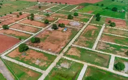 200 ਕਰੋੜ ਰੁਪਏ ਦੇ ਪ੍ਰਾਪਰਟੀ ਟੈਕਸ ਬਕਾਏ ਦੇ ਸਬੰਧ ਵਿੱਚ ਚੰਡੀਗੜ੍ਹ ਨਗਰ ਨਿਗਮ ਨੇ ਡਿਫਾਲਟਰਾਂ ਦੀ ਸੂਚੀ ਤਿਆਰ ਕਰਨੀ ਸ਼ੁਰੂ ਕੀਤੀ