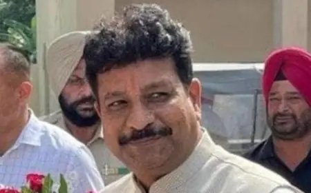 ਆਪ’ ਵਿਧਾਇਕ ਰਮਨ ਅਰੋੜਾ ਦੀ ਰੈਗੂਲਰ ਜ਼ਮਾਨਤ ਅਰਜ਼ੀ ਅਦਾਲਤ ਵੱਲੋਂ ਰੱਦ