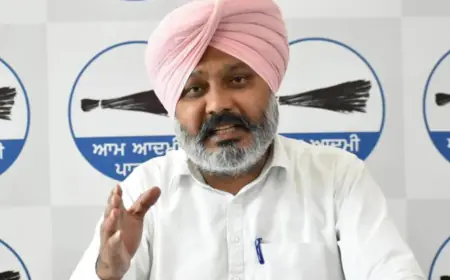 ਆਪ ਸਰਕਾਰ ਨੇ ਬਾਰਡਰ ਪਾਰੋਂ ਆ ਰਹੇ ਨਸ਼ੇ ਨੂੰ ਪਾਈ ਠੱਲ੍ਹ- ਹਰਪਾਲ ਸਿੰਘ ਚੀਮਾ