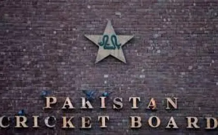 ਆਡਿਟ ਵਿੱਚ ਪਾਕਿਸਤਾਨ ਕ੍ਰਿਕਟ ਬੋਰਡ ਵਿੱਚ 21 ਮਿਲੀਅਨ ਡਾਲਰ ਦੀਆਂ ਵਿੱਤੀ ਬੇਨਿਯਮੀਆਂ ਆਈਆਂ ਸਾਹਮਣੇ