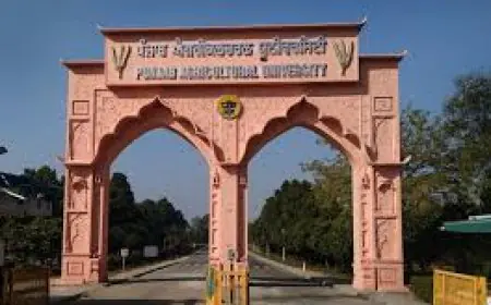 ਪੰਜਾਬ ਖੇਤੀਬਾੜੀ ਯੂਨੀਵਰਸਿਟੀ ਲੁਧਿਆਣਾ ਦੁਨੀਆ ਦੀਆਂ ਉਚ ਚੋਟੀ ਦੀਆਂ 100 ਖੇਤੀਬਾੜੀ ਸੰਸਥਾਵਾਂ ਵਿੱਚ ਸ਼ਾਮਲ