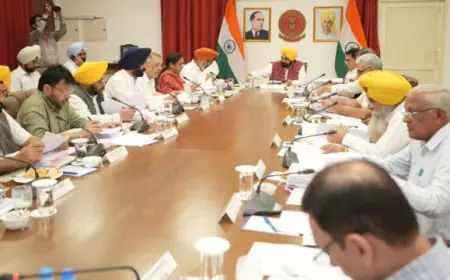 ਪੰਜਾਬ ਕੈਬਨਿਟ ਨੇ ਨਕਲੀ ਬੀਜਾਂ ਦੀ ਵਿਕਰੀ ਨੂੰ ਗੈਰ-ਜ਼ਮਾਨਤੀ ਅਪਰਾਧ ਬਣਾਉਣ ਲਈ ਬਿੱਲ ਨੂੰ ਪ੍ਰਵਾਨਗੀ ਦਿੱਤੀ