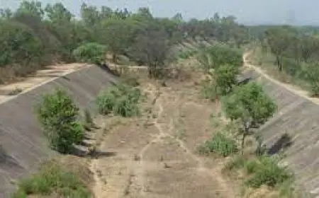 ਐਸਵਾਈਐਲ ਨਹਿਰ: 5ਵੀਂ ਮੀਟਿੰਗ ਦੌਰਾਨ ਕੇਂਦਰ ਪੰਜਾਬ ਅਤੇ ਹਰਿਆਣਾ ਵਿਚਕਾਰ ਵਿਵਾਦ ਨੂੰ ਹੱਲ ਕਰਨ ਦੀ ਕਰੇਗਾ ਕੋਸ਼ਿਸ਼  