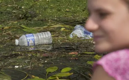 ਕੈਨੇਡਾ ਸੰਯੁਕਤ ਰਾਸ਼ਟਰ ਪਲਾਸਟਿਕ ਸੰਧੀ ਵਿੱਚ ਆਦਿਵਾਸੀ ਅਧਿਕਾਰਾਂ ਨੂੰ ਸ਼ਾਮਲ ਕਰਨ ਲਈ ਦੇ ਰਿਹੈ ਜ਼ੋਰ