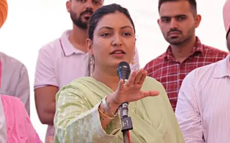 ਖਰੜ ਤੋਂ ਵਿਧਾਇਕ ਅਨਮੋਲ ਗਗਨ ਮਾਨ ਨੂੰ ਵਿਧਾਨ ਸਭਾ ਪੈਨਲ ਤੋਂ ਹਟਾਇਆ  