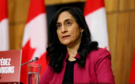 ਗਾਜ਼ਾ ਵਿੱਚ ਦੁੱਖ ਅਕਲਪਨਾਯੋਗ: ਵਿਦੇਸ਼ ਮੰਤਰੀ ਆਨੰਦ  