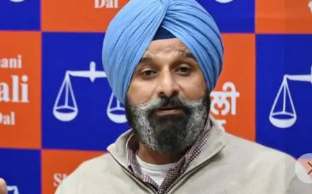 ਮੋਹਾਲੀ ਅਦਾਲਤ ਵੱਲੋਂ ਬਿਕਰਮ ਸਿੰਘ ਮਜੀਠੀਆ ਦੀ ਜ਼ਮਾਨਤ ਅਰਜ਼ੀ ਰੱਦ  