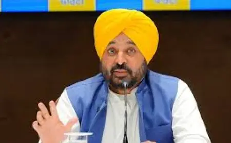 ਪੰਜਾਬ ਭਾਜਪਾ ਦੇ ਕਾਰਜਕਾਰੀ ਪ੍ਰਧਾਨ ਨੇ ਮੁੱਖ ਮੰਤਰੀ ਮਾਨ ਨੂੰ ਦਿੱਤੀ ਚੁਣੌਤੀ 