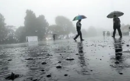 ਪੰਜਾਬ ਦੇ 10 ਜ਼ਿਲ੍ਹਿਆਂ ਵਿੱਚ ਅੱਜ ਪਵੇਗਾ ਮੀਂਹ