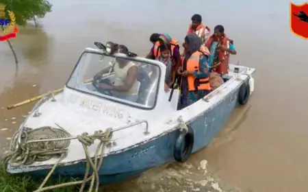 ਹੜ੍ਹਾਂ ਕਾਰਨ ਪੰਜਾਬ ਵਿੱਚ ਲਗਭਗ 1.25 ਲੱਖ ਲੋਕਾਂ ਦੇ ਨਾਲ ਨਾਲ 3 ਲੱਖ ਏਕੜ ਖੇਤੀਯੋਗ ਜ਼ਮੀਨ ਪ੍ਰਭਾਵਿਤ