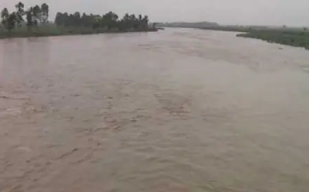 ਕਿਸਾਨ ਯੂਨੀਅਨ ਦਾ ਦਾਅਵਾ: ਹਰੀਕੇ ਹੈੱਡਵਰਕਸ ਤੋਂ ਰਾਜਸਥਾਨ ਨਹਿਰ ਵਿੱਚ ਪਾਣੀ ਛੱਡਣ ਲਈ ਅਧਿਕਾਰੀਆਂ ਨੂੰ ਕੀਤਾ ਮਜਬੂਰ