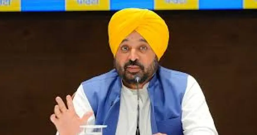 ਪੰਜਾਬ ਭਾਜਪਾ ਦੇ ਕਾਰਜਕਾਰੀ ਪ੍ਰਧਾਨ ਨੇ ਮੁੱਖ ਮੰਤਰੀ ਮਾਨ ਨੂੰ ਦਿੱਤੀ ਚੁਣੌਤੀ 