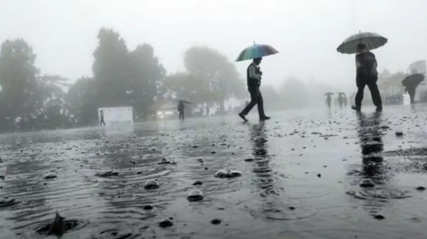 ਪੰਜਾਬ ਦੇ 10 ਜ਼ਿਲ੍ਹਿਆਂ ਵਿੱਚ ਅੱਜ ਪਵੇਗਾ ਮੀਂਹ