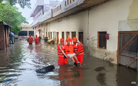 ਪੰਜਾਬ ਵਿੱਚ ਆਏ ਹੜ੍ਹਾਂ ਵਿੱਚ ਲੋਕਾਂ ਦਾ ਸਮਰਥਨ ਦੇਣ ਲਈ ਸਿਰਫ ਪਾਲੀਵੁੱਡ ਹੀ ਨਹੀਂ ਬਾਲੀਵੁੱਡ ਵੀ ਨਾਲ ਜੁੜਿਆ