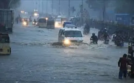 ਪਾਕਿਸਤਾਨ ਵਿੱਚ ਮੌਨਸੂਨ ਦੇ ਕਹਿਰ ਕਾਰਨ ਮਰਨ ਵਾਲਿਆਂ ਦੀ ਗਿਣਤੀ 883 ਤੱਕ ਪਹੁੰਚੀ