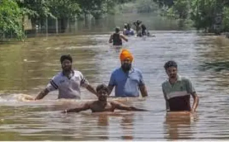 ਹੜ੍ਹ ਪ੍ਰਭਾਵਿਤ ਪਿੰਡਾਂ ਵਿੱਚ ਬਚਾਅ ਅਤੇ ਰਾਹਤ ਕਾਰਜਾਂ ਦੀ ਨਿਗਰਾਨੀ ਲਈ ਲਗਭਗ 1700 ਗਜ਼ਟਿਡ ਅਧਿਕਾਰੀ ਨਿਯੁਕਤ