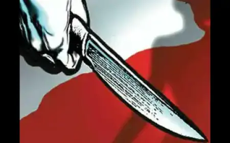 12 ਸਾਲਾ ਬੱਚੇ ’ਤੇ ਆਪਣੇ ਛੋਟੇ ਭਰਾ ਨੂੰ ਚਾਕੂ ਮਾਰ ਕੇ ਕਤਲ ਕਰਨ ਦੀ ਕੋਸ਼ਿਸ਼ ਦਾ ਦੋਸ਼