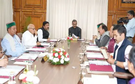 30 ਅਪ੍ਰੈਲ ਤੋਂ ਪਹਿਲਾਂ ਹਿਮਾਚਲ ਪ੍ਰਦੇਸ਼ ਸਰਕਾਰ ਵੱਲੋਂ ਪੰਚਾਇਤੀ ਚੋਣਾਂ ਲਈ ਰਾਹ ਪੱਧਰਾ  