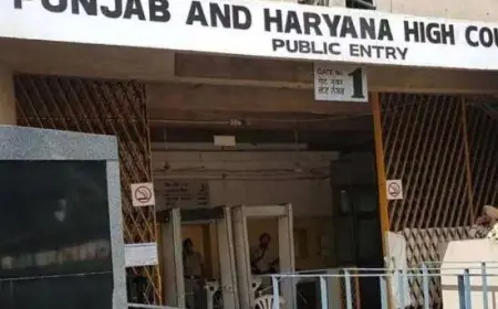 ਨਗਰ ਨਿਗਮ ਚੋਣ ਪ੍ਰਕਿਰਿਆ ‘ਤੇ ਹਾਈ ਕੋਰਟ ਨੇ ਖਦਸ਼ਿਆਂ ਨੂੰ ਕੀਤਾ ਖ਼ਾਰਜ