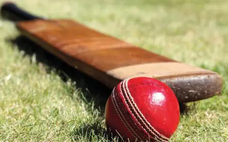 ਅੰਡਰ-19 ਵਿਸ਼ਵ ਕੱਪ ਫਾਈਨਲ: ਭਾਰਤ 411 ਦੌੜਾਂ; ਇੰਗਲੈਂਡ 192/7, ਕਪਤਾਨ ਥਾਮਸ ਰੀ ਆਊਟ