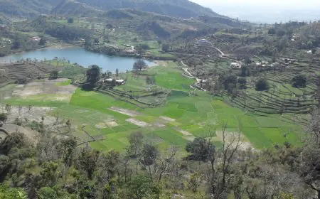 ਚੰਡੀਗੜ੍ਹ: ਭੂਮੀ ਮਾਫੀਆ ਵੱਲੋਂ ਪਹਾੜੀਆਂ ਦੀ ਕਟਾਈ ਤੇ ਮੌਸਮੀ ਨਾਲੇ ਦਾ ਰੁਖ ਮੋੜਨ ਦੇ ਦੋਸ਼