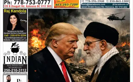 Punjabi Link Media 2026