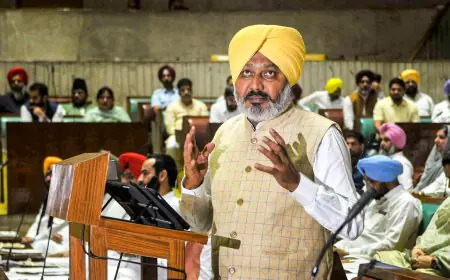 ਪੰਜਾਬ ਵਿਧਾਨ ਸਭਾ ਨੇ 2.60 ਲੱਖ ਕਰੋੜ ਰੁਪਏ ਦਾ ਬਜਟ ਪਾਸ ਕੀਤਾ, ਕਾਂਗਰਸ ਤੇ ਭਾਜਪਾ ਗੈਰਹਾਜ਼ਰ, ਅਕਾਲੀ ਦਲ ਵੱਲੋਂ ਸ਼ਲਾਘਾ