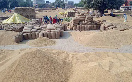 ਖਰੀਦ ਸ਼ੁਰੂ ਹੋਣ ਬਾਵਜੂਦ ਪੰਜਾਬ ਦੀਆਂ ਮੰਡੀਆਂ ‘ਚ ਅਣਸ਼ਚਿੱਤਤਾ, ਖਰਾਬ ਗੁਣਵੱਤਾ ਕਾਰਨ ਰੁਕੀ ਖਰੀਦ