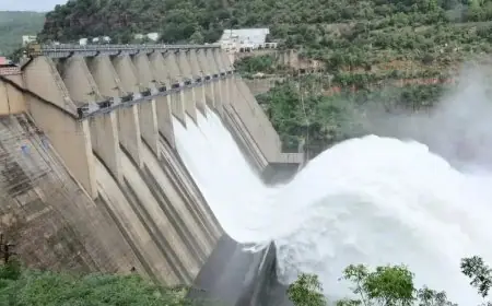 ਬੀਬੀਐੱਮਬੀ ‘ਚ ਰਾਜਸਥਾਨ ਤੇ ਹਿਮਾਚਲ ਪ੍ਰਦੇਸ਼ ਨੂੰ ਸਥਾਈ ਮੈਂਬਰ ਬਣਾਉਣ ਦੀ ਤਿਆਰੀ