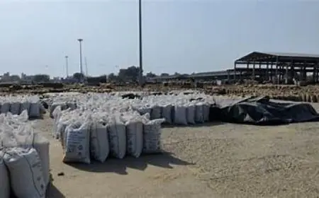 ਅਣਸਮੇਂ ਮੀਂਹ ਕਾਰਨ ਪੰਜਾਬ ਲਈ ਕਣਕ ਖਰੀਦ ਨਿਯਮਾਂ ਵਿੱਚ ਰਾਹਤ