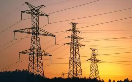 ਪੰਜਾਬ ਦੇ 5 ਜ਼ਿਲ੍ਹਿਆਂ ਵਿੱਚ ਬਿਜਲੀ ਕੱਟਾਂ ਦਾ ਐਲਾਨ, 8 ਤੋਂ 10 ਘੰਟੇ ਰਹੇਗੀ ਸਪਲਾਈ ਬੰਦ