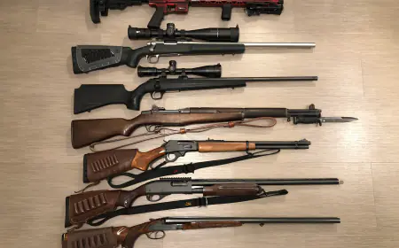 ਬੀ.ਸੀ.  ਸਰਕਾਰ  ਗਨ ਹਿੰਸਾ 'ਤੇ ਕੱਸੇਗੀ ਲਗਾਮ, ਨਵਾਂ ਕਾਨੂੰਨ 1 ਅਕਤੂਬਰ ਤੋਂ ਲਾਗੂ