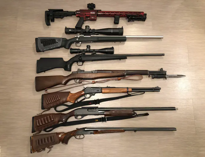 ਬੀ.ਸੀ.  ਸਰਕਾਰ  ਗਨ ਹਿੰਸਾ 'ਤੇ ਕੱਸੇਗੀ ਲਗਾਮ, ਨਵਾਂ ਕਾਨੂੰਨ 1 ਅਕਤੂਬਰ ਤੋਂ ਲਾਗੂ