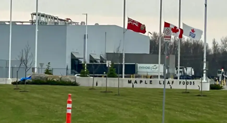 ਮੇਪਲ ਲੀਫ ਫੂਡਜ਼ ਪਲਾਂਟ ‘ਚ ਕਰਮਚਾਰੀ ਦੀ ਮੌਤ, ਜਾਂਚ ਸ਼ੁਰੂ