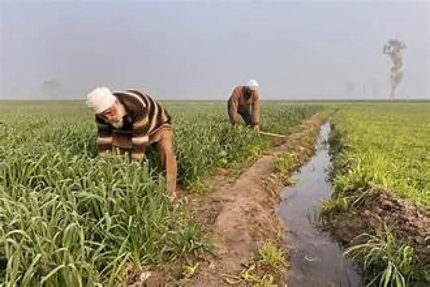 ਸਰਹੱਦੀ ਕਿਸਾਨਾਂ ਲਈ ਉਮੀਦ ਦੀ ਕਿਰਨ, ਫੈਂਸ ਹਟਾਉਣ ਯੋਜਨਾ ਲਈ ਜਲਦੀ ਸਰਵੇ ਦੀ ਮੰਗ