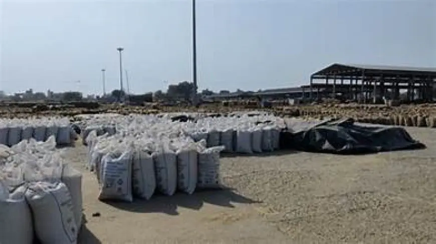 ਅਣਸਮੇਂ ਮੀਂਹ ਕਾਰਨ ਪੰਜਾਬ ਲਈ ਕਣਕ ਖਰੀਦ ਨਿਯਮਾਂ ਵਿੱਚ ਰਾਹਤ